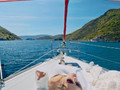 Sommelier Yacht, thumbnail 8